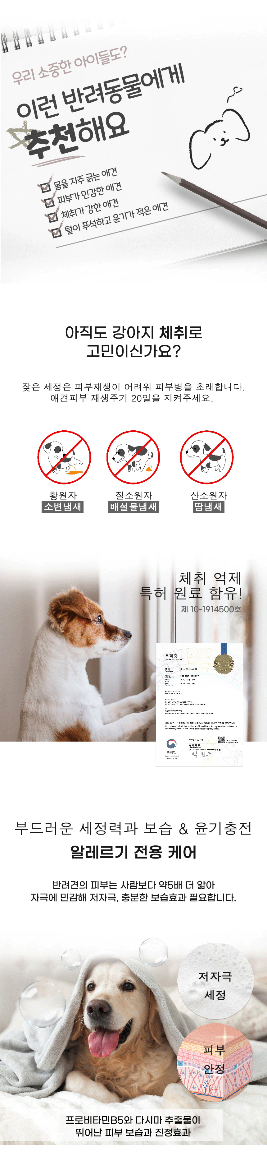 [무료배송] 스카프한 은비 애니멀로지 저자극 버블 샴푸 300g 3번째