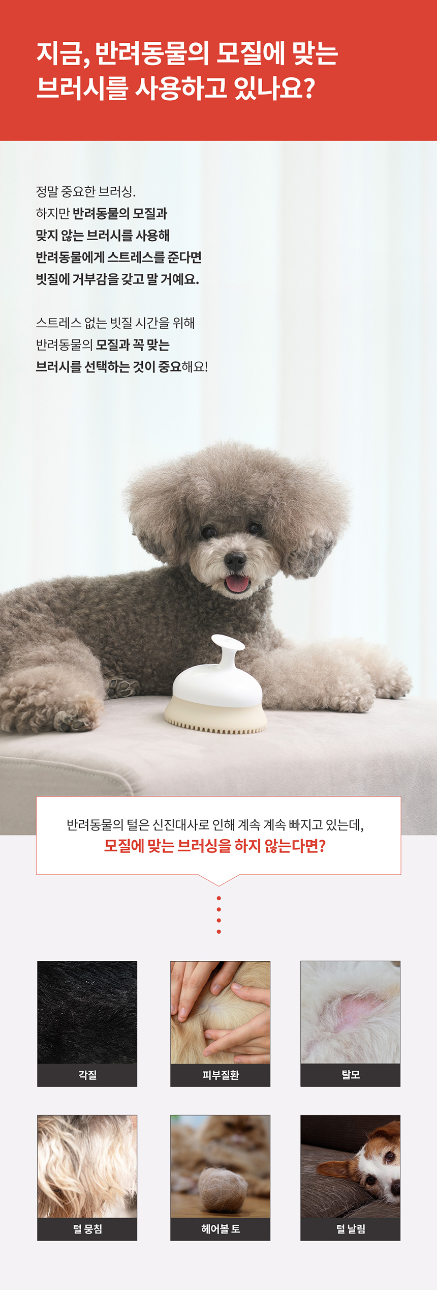 두잇 죽은털제거 소프트브러쉬 4번째