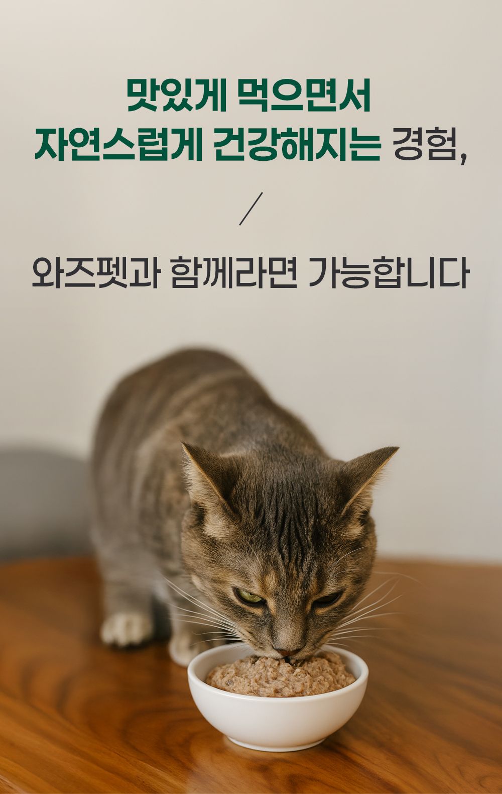 [체험단] 와즈펫 캣 프리미엄 습식사료 오리&참치 100g 15번째 상세 이미지