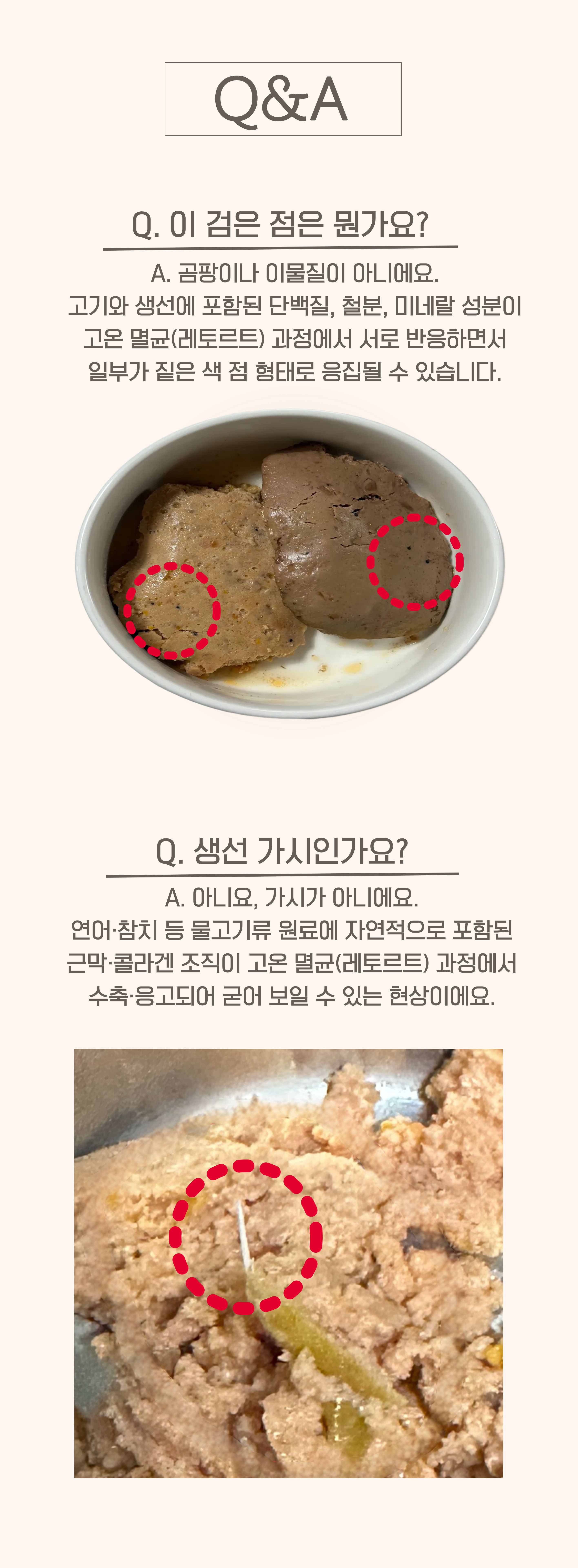 [체험단] 와즈펫 캣 프리미엄 습식사료 오리&참치 100g 16번째 상세 이미지