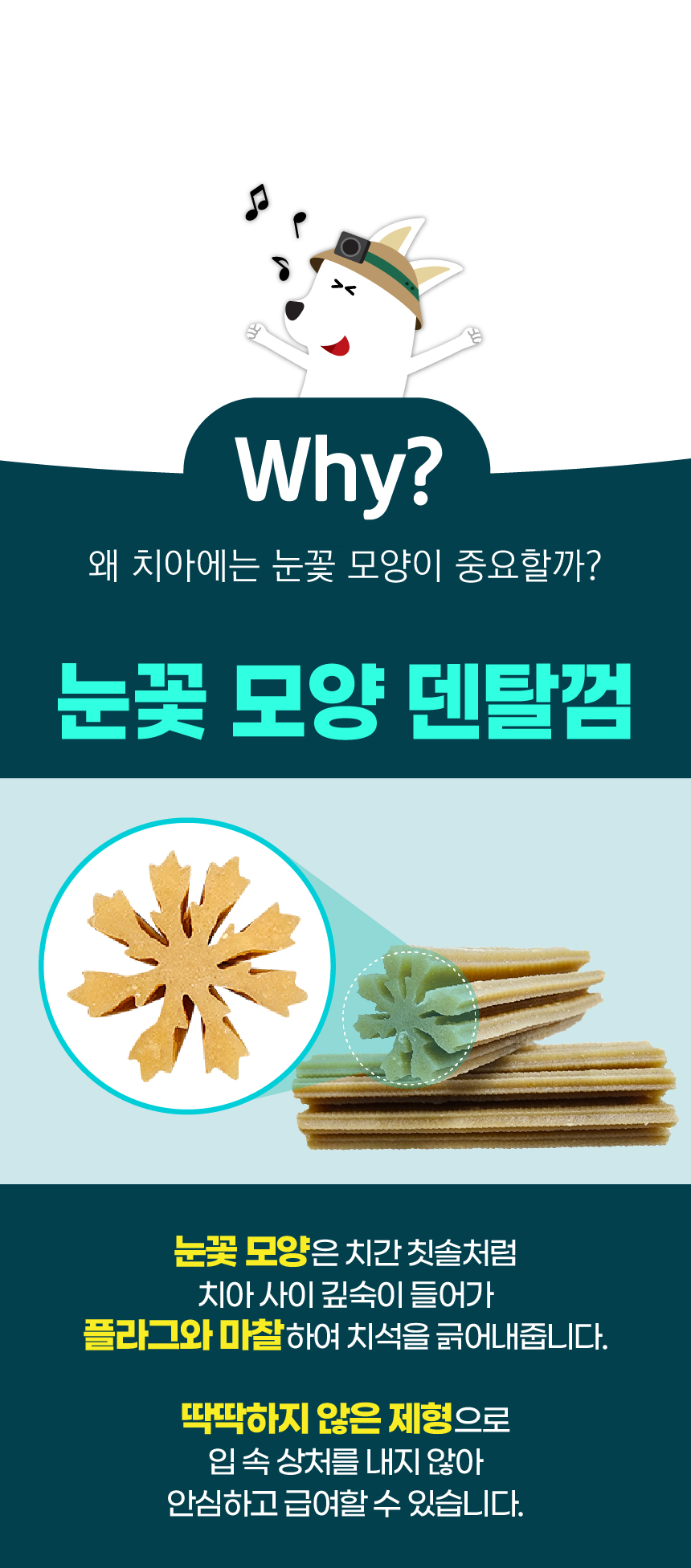 벨라맥스 SBS TV 동물농장 덴탈껌 강아지 치석 양치 입냄새 제거 160g 8번째