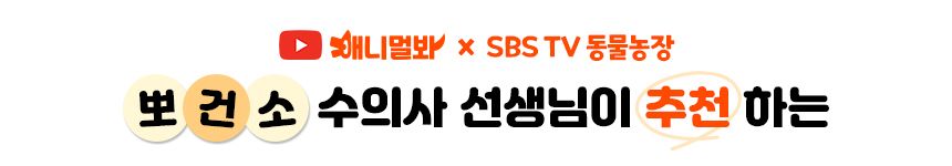벨라맥스 SBS TV 동물농장 덴탈껌 강아지 치석 양치 입냄새 제거 160g 1번째