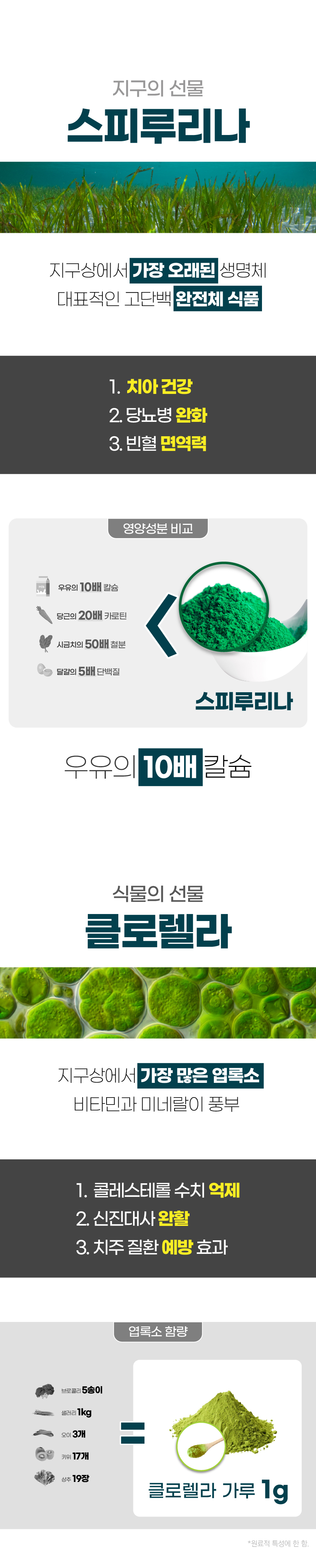 벨라맥스 SBS TV 동물농장 덴탈껌 강아지 치석 양치 입냄새 제거 160g 11번째