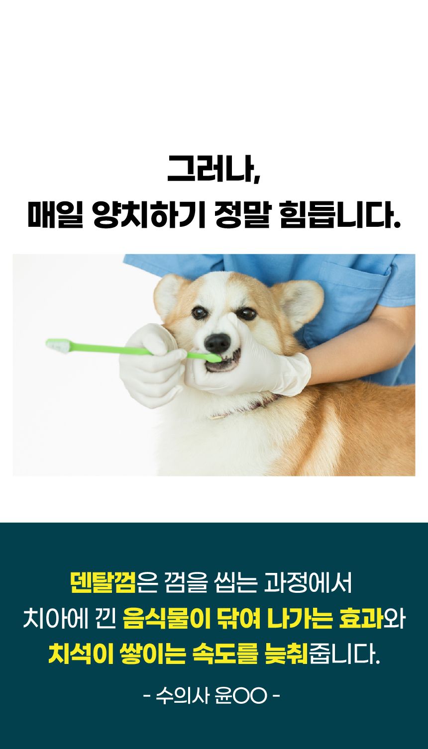 [브랜드전]벨라맥스 SBS TV 동물농장 덴탈껌 강아지 치석 양치 입냄새 제거 160g 3번째