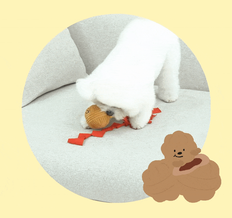 [무료배송] 펫베오 호두과자 노즈워크 2번째