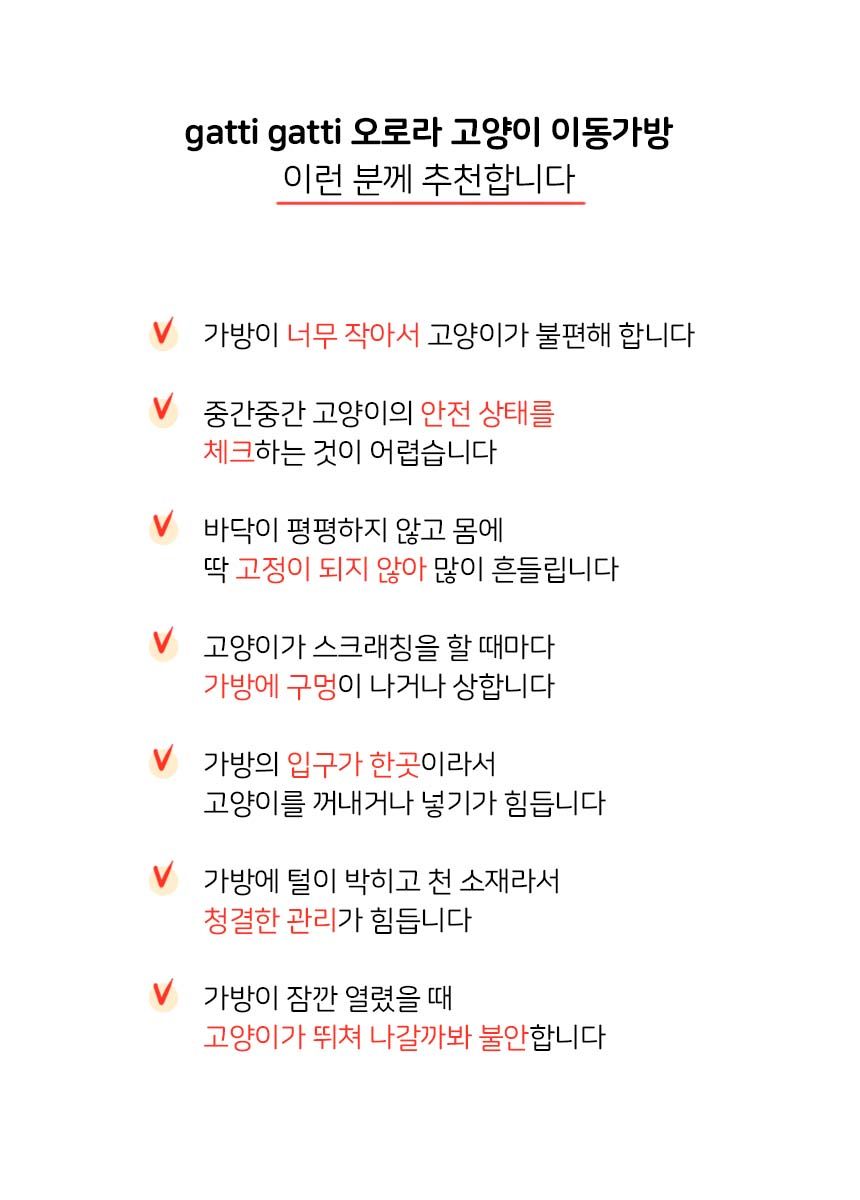 가티가티 오로라 이동가방 2번째