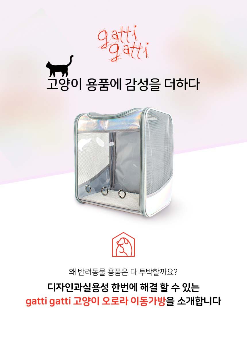 가티가티 오로라 이동가방 1번째