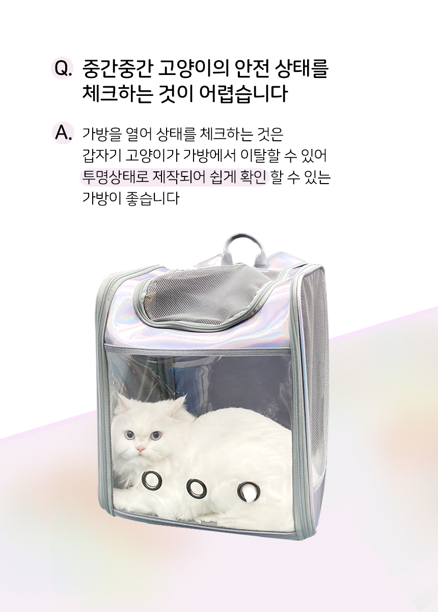 가티가티 오로라 이동가방 5번째