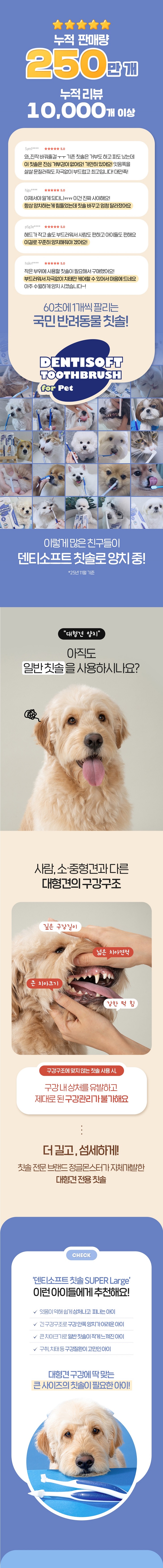 [무료배송] 정글몬스터 덴티소프트 칫솔 L 1p 1번째