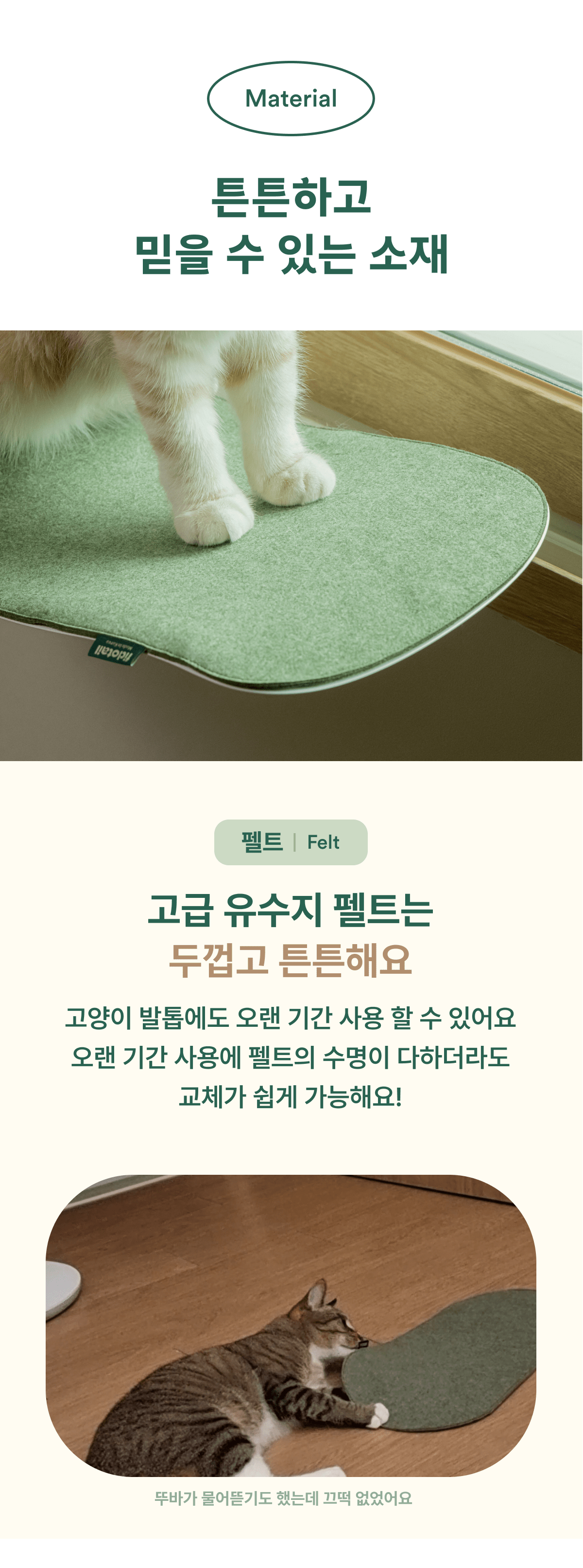 [무료배송] 피도테일 캣 웨이브 창문 해먹 + 벽고정 (매트포함) 버전 1.5 23번째