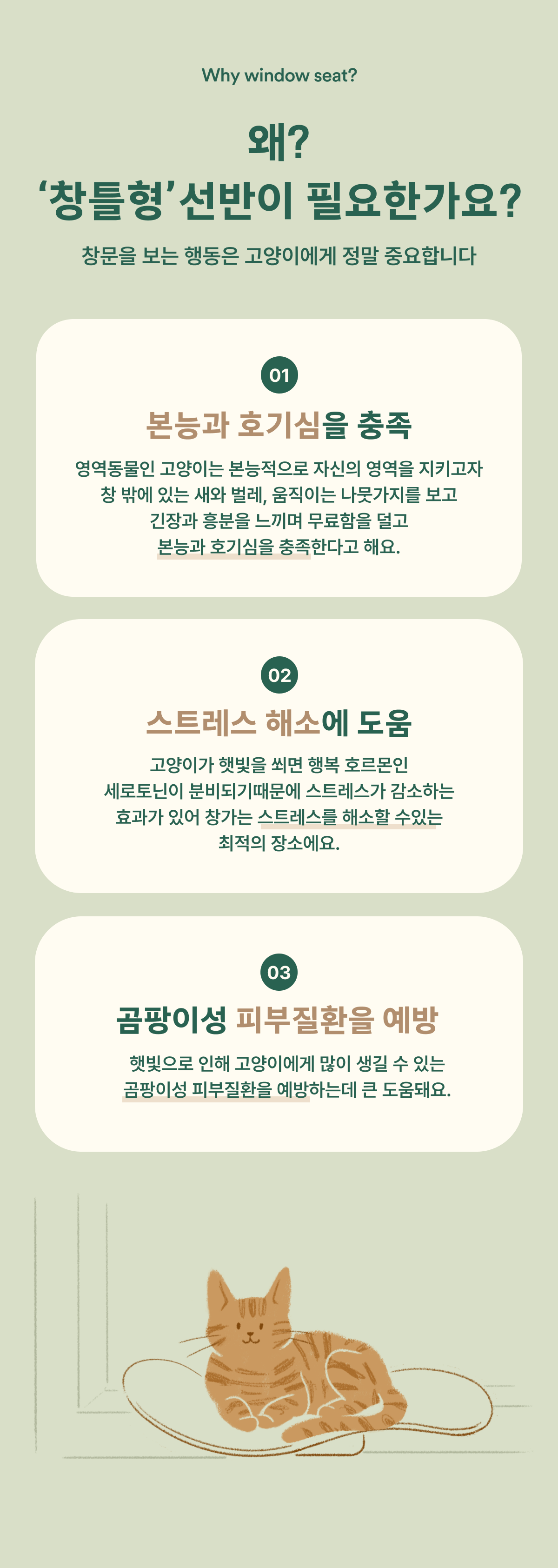 [무료배송] 피도테일 캣 웨이브 창문 해먹 + 벽고정 (매트포함) 버전 1.5 8번째