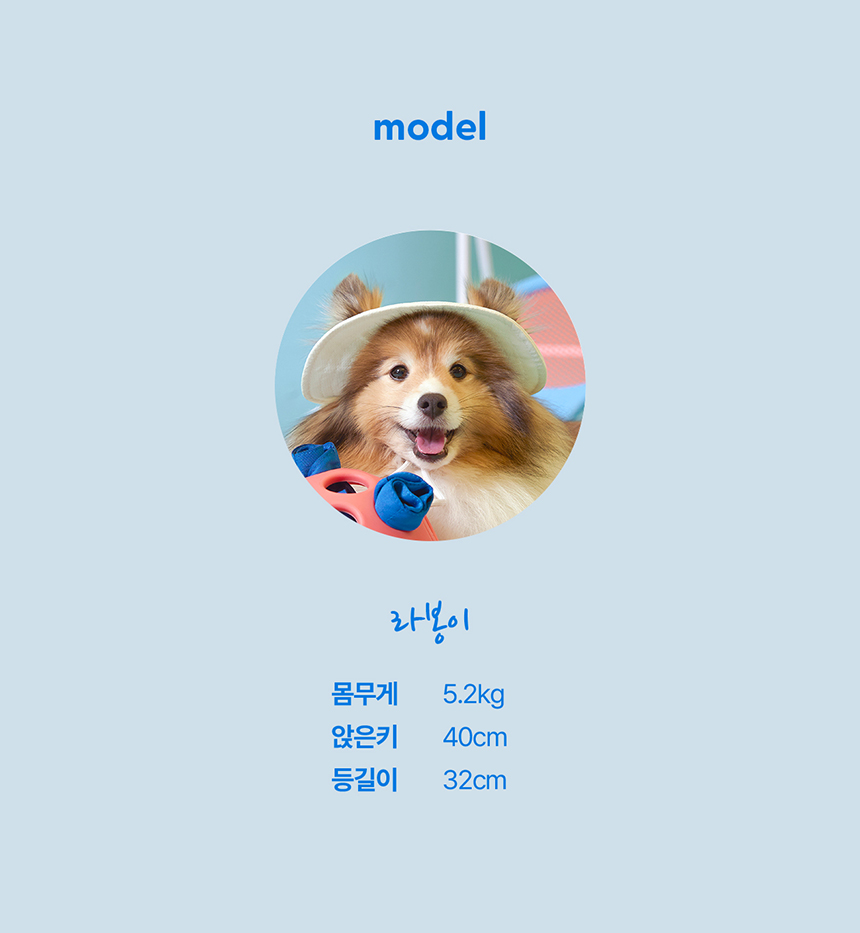 [NEW신상][무료배송] 두잇 야미볼 노즈워크 자동장난감 23번째