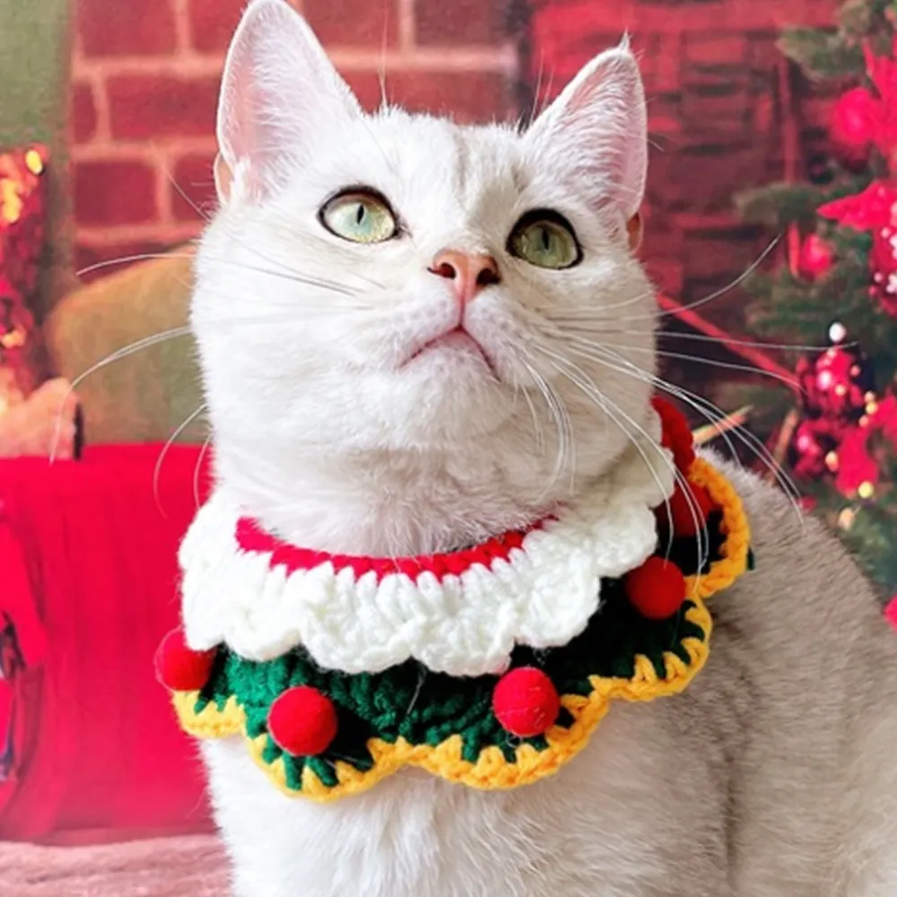 [무료배송] 스펜서 반려동물 크리스마스 케이프