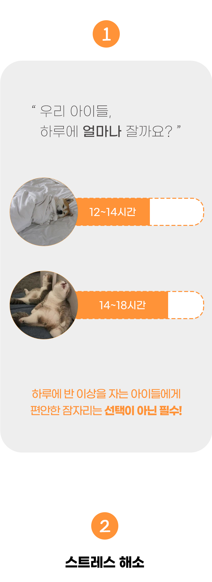 [NEW신상][무료배송] 개과천선 캣 포이냥 방석 (소형/중형/대형) 5번째