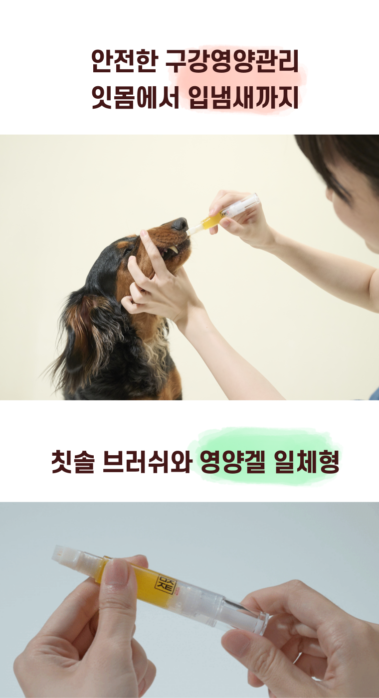 [NEW신상][무료배송] 무지조타 치카쓱싹 100%마누카 양치펜 6번째