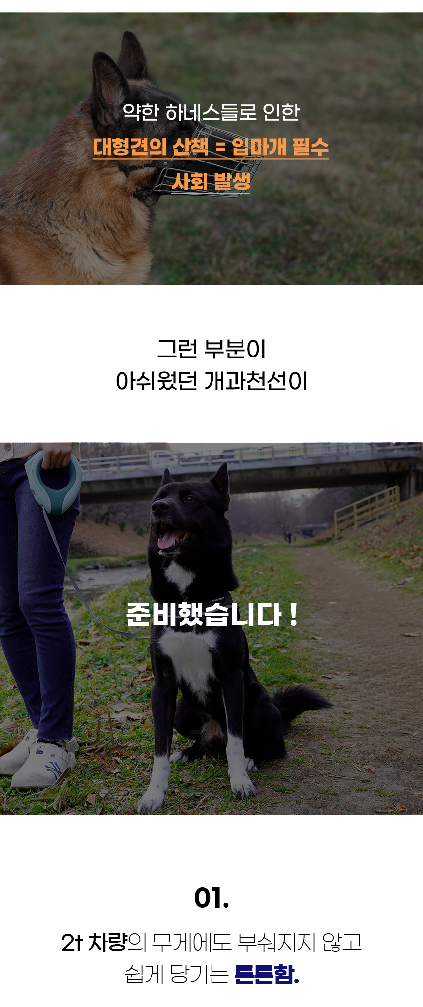 [NEW신상][무료배송] 개과천선 독 턴오프 하네스 (퍼플/그린/그레이) 3번째