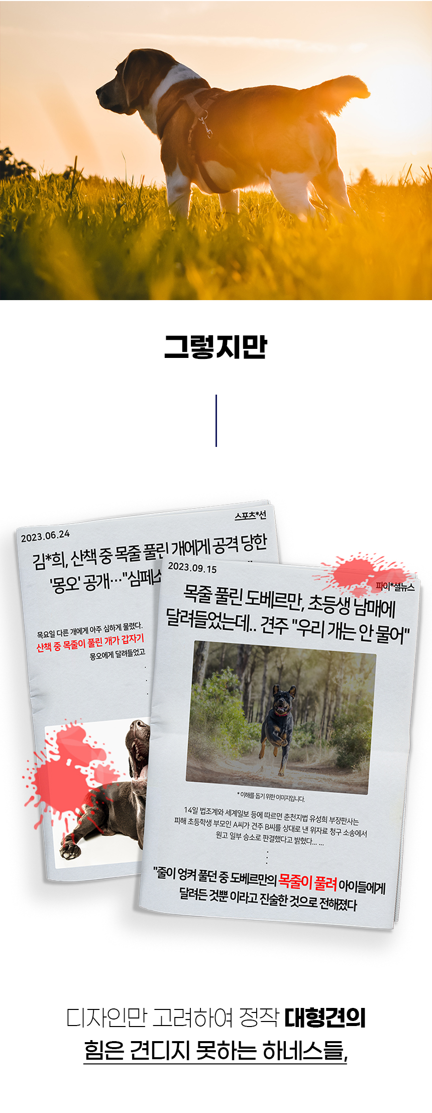 [NEW신상][무료배송] 개과천선 독 턴오프 하네스 (퍼플/그린/그레이) 2번째
