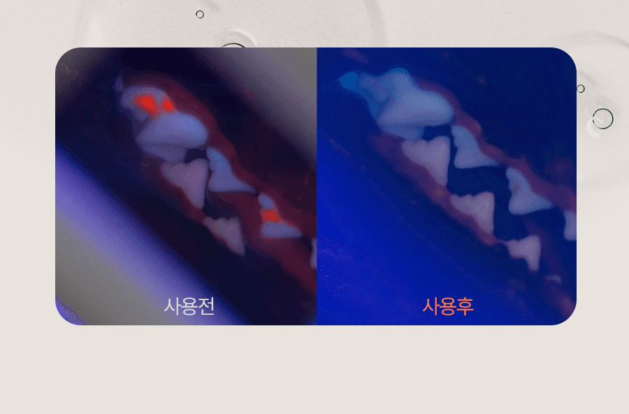 플라고 치약 플러스 80g 15번째
