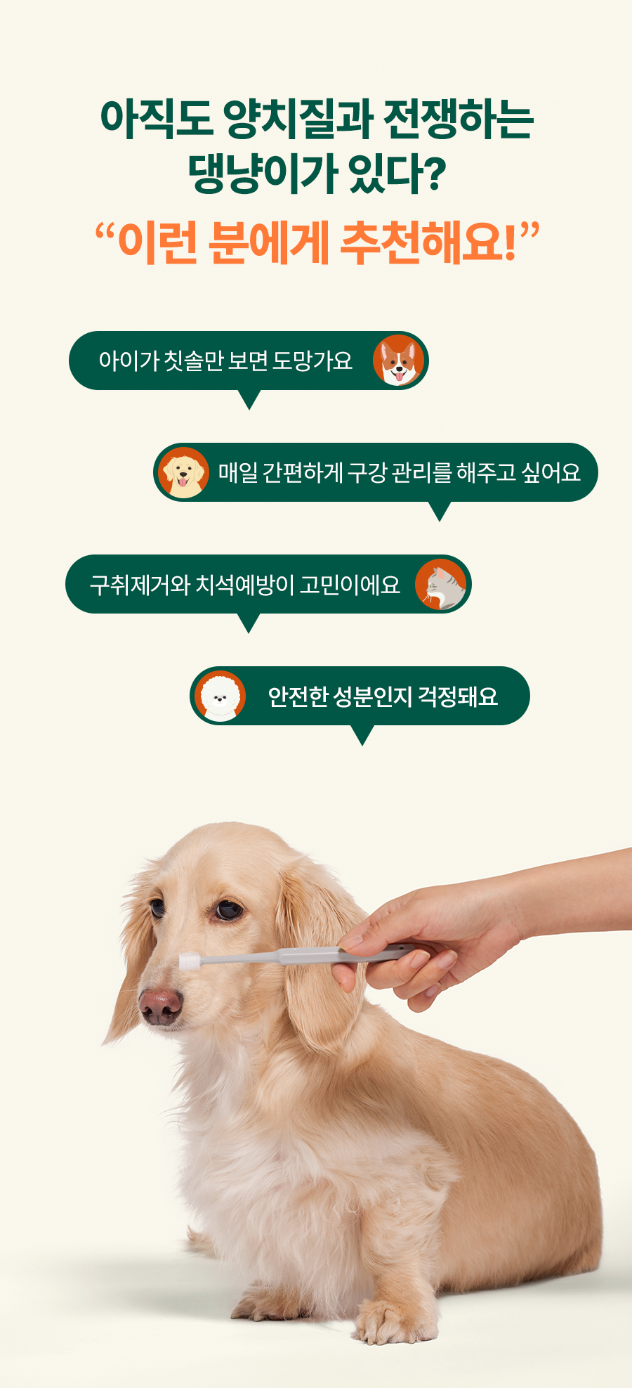 플라고 치약 플러스 80g 3번째