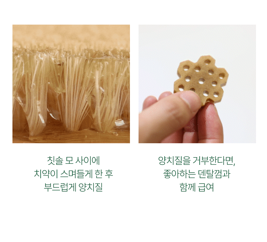 플라고 치약 플러스 80g 16번째