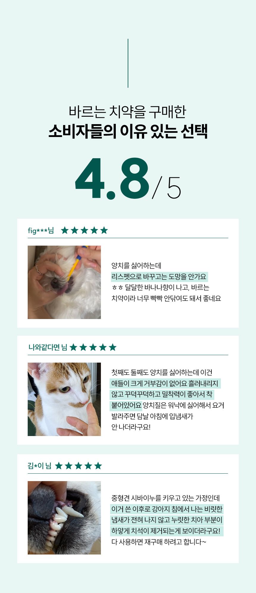 리스펫 바르는 치약 70g 2번째