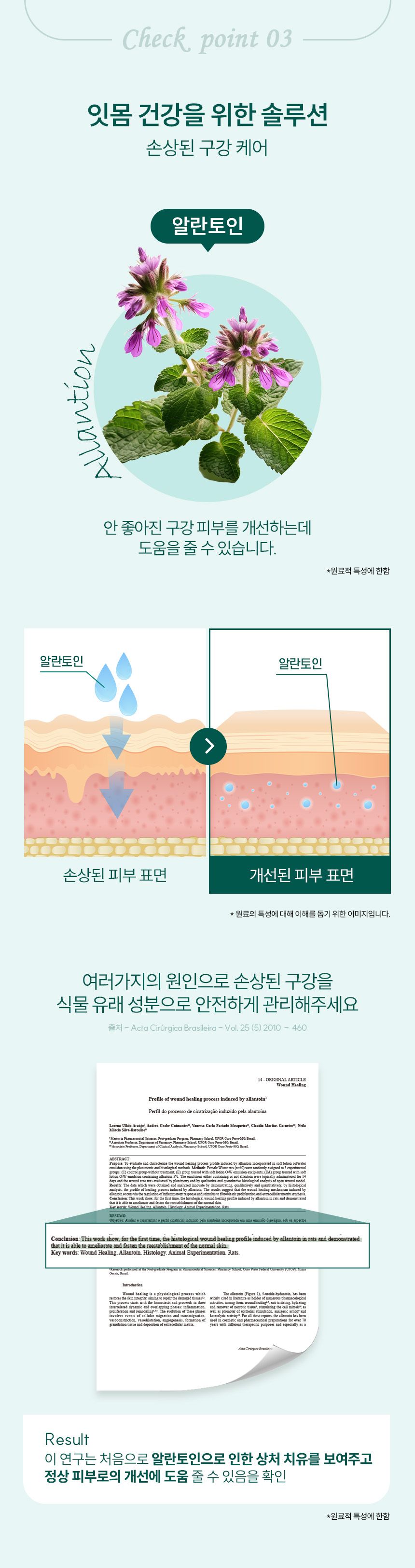 리스펫 바르는 치약 70g 9번째