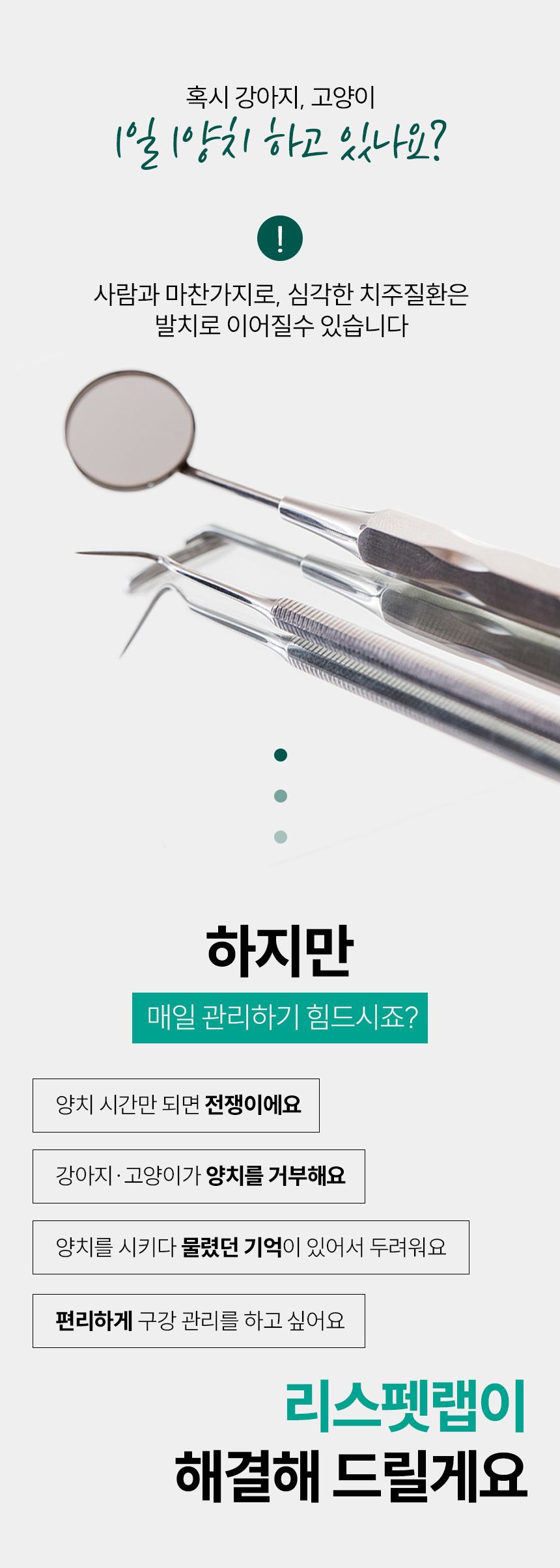 리스펫 바르는 치약 70g 1번째