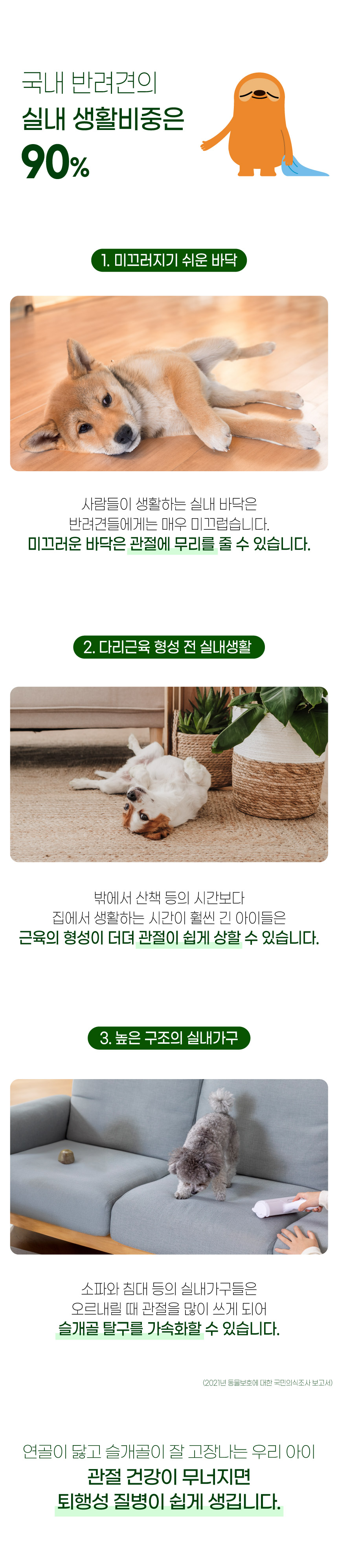 벨라맥스 SBS TV 동물농장 콘드로이친 강아지 관절 슬개골 영양제 150g 5번째