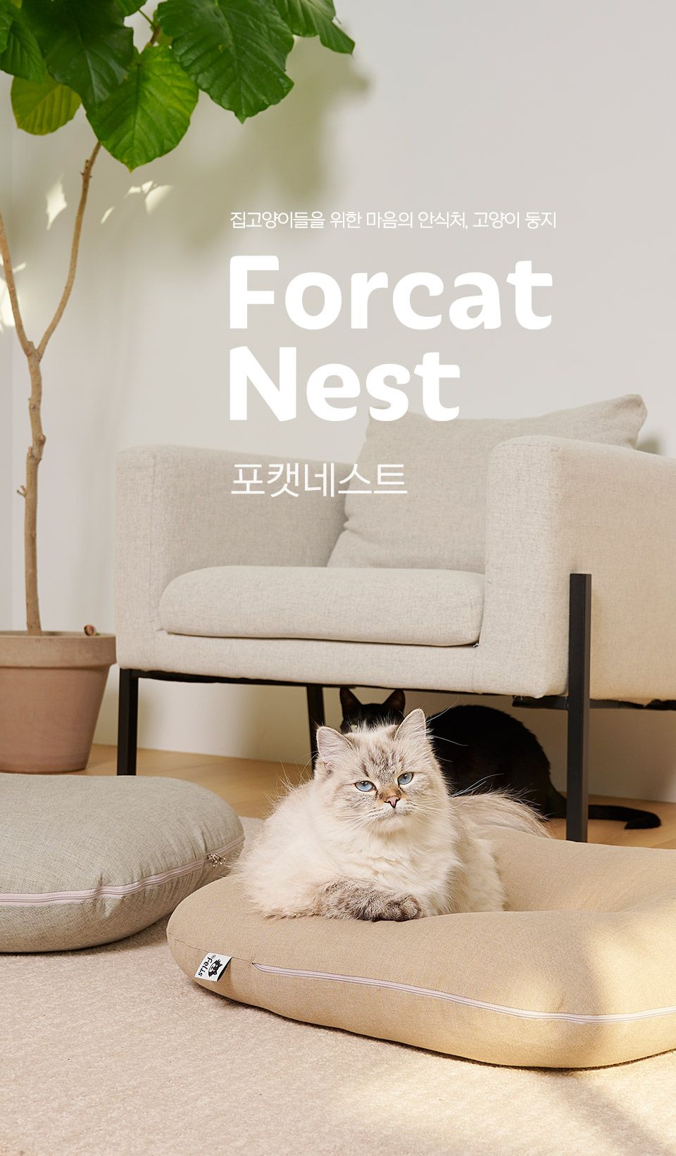 [웰컴딜] 닥터펠리스 포캣네스트 방석 브라운 1번째