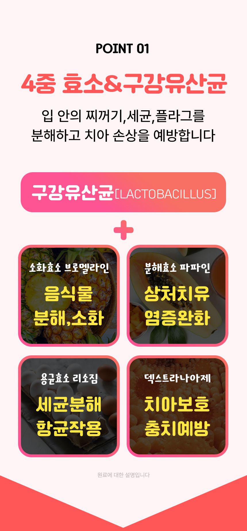펫생각 독 하루치카 스윗피치 덴탈 스프레이 125ml 16번째