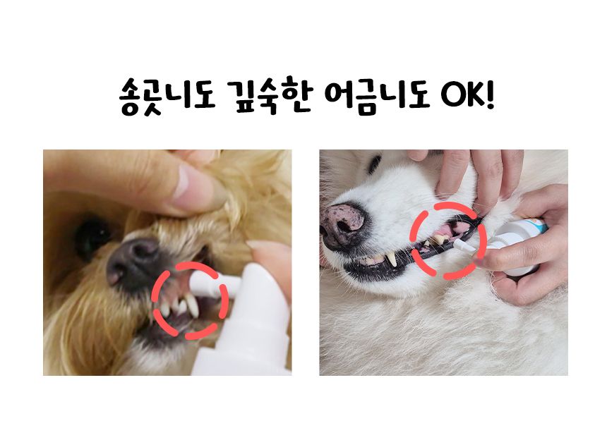 펫생각 독 하루치카 스윗피치 덴탈 스프레이 125ml 21번째