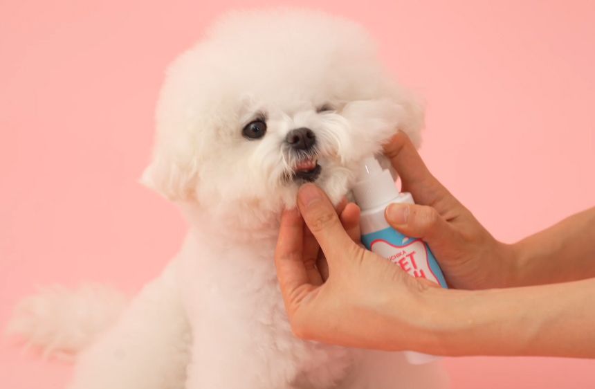 펫생각 독 하루치카 스윗피치 덴탈 스프레이 125ml 9번째