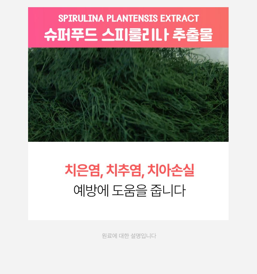 펫생각 독 하루치카 스윗피치 덴탈 스프레이 125ml 14번째