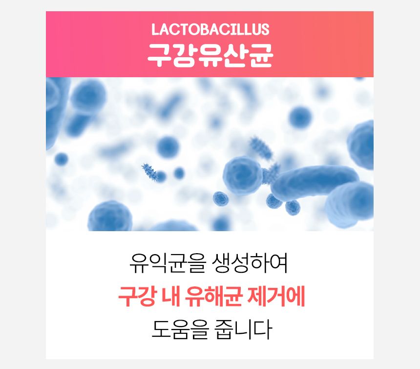 펫생각 독 하루치카 스윗피치 덴탈 스프레이 125ml 11번째