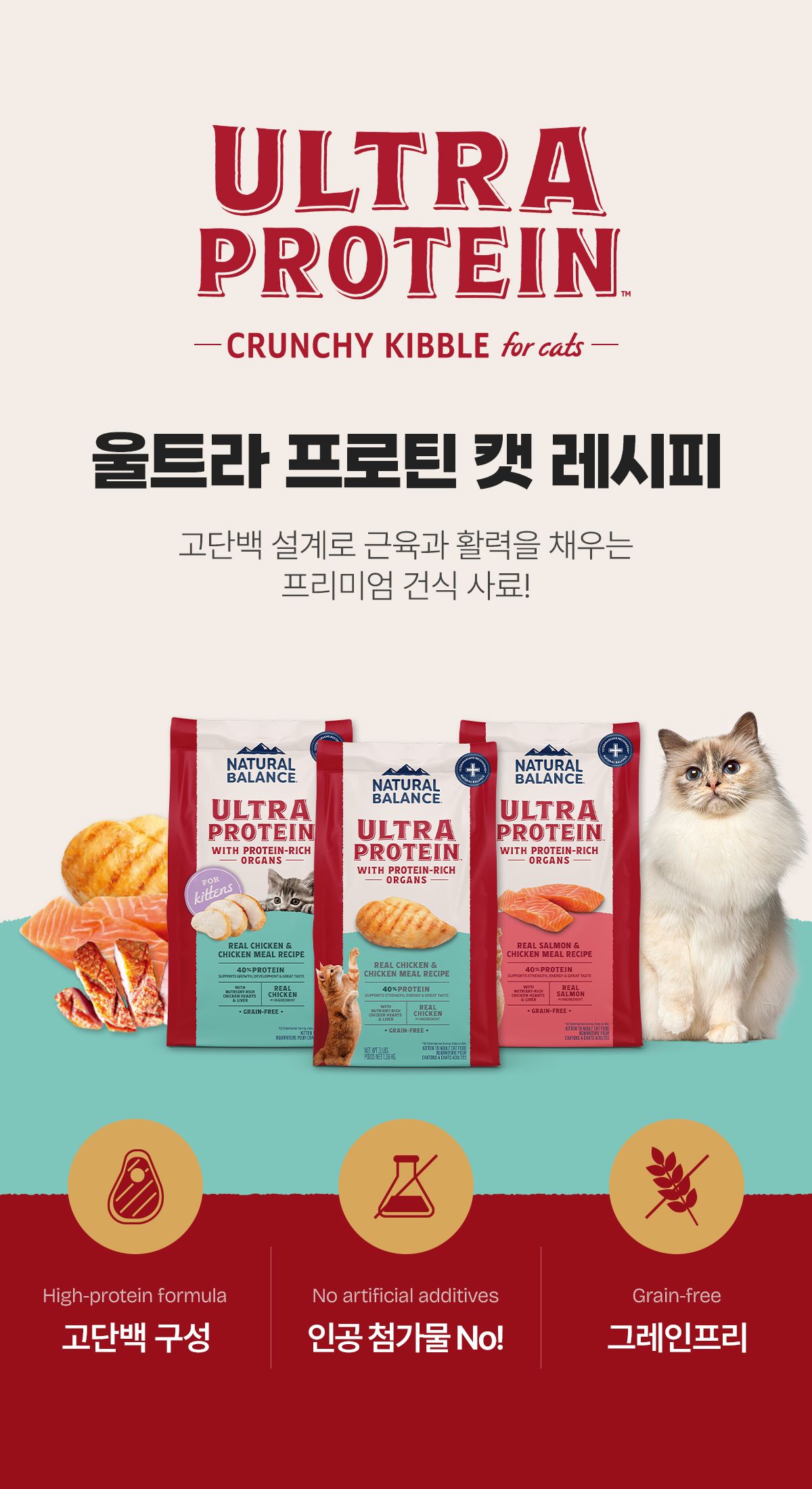 [유통기한임박, 26년3월9일] 내추럴발란스 캣 울트라 프로틴 리얼 치킨 키튼 레시피 1.36kg 1번째