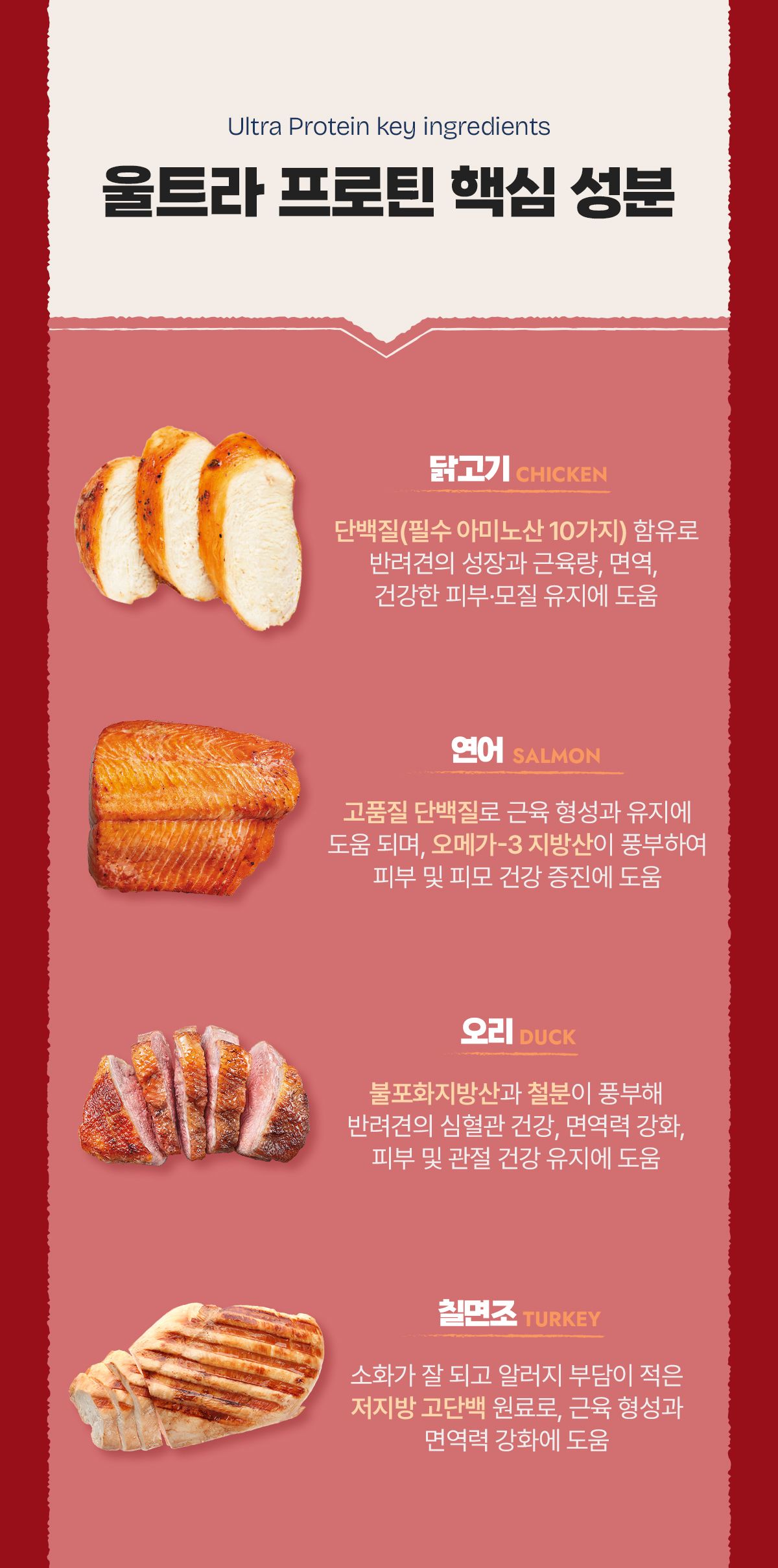 [유통기한임박, 26년3월9일] 내추럴발란스 캣 울트라 프로틴 리얼 치킨 키튼 레시피 1.36kg 6번째