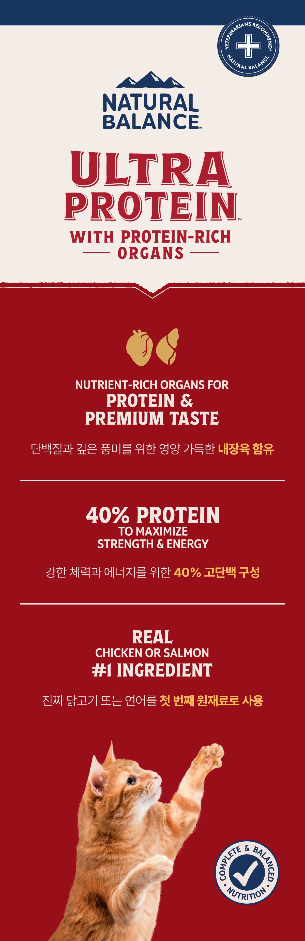 [유통기한임박, 26년3월9일] 내추럴발란스 캣 울트라 프로틴 리얼 치킨 키튼 레시피 1.36kg 9번째