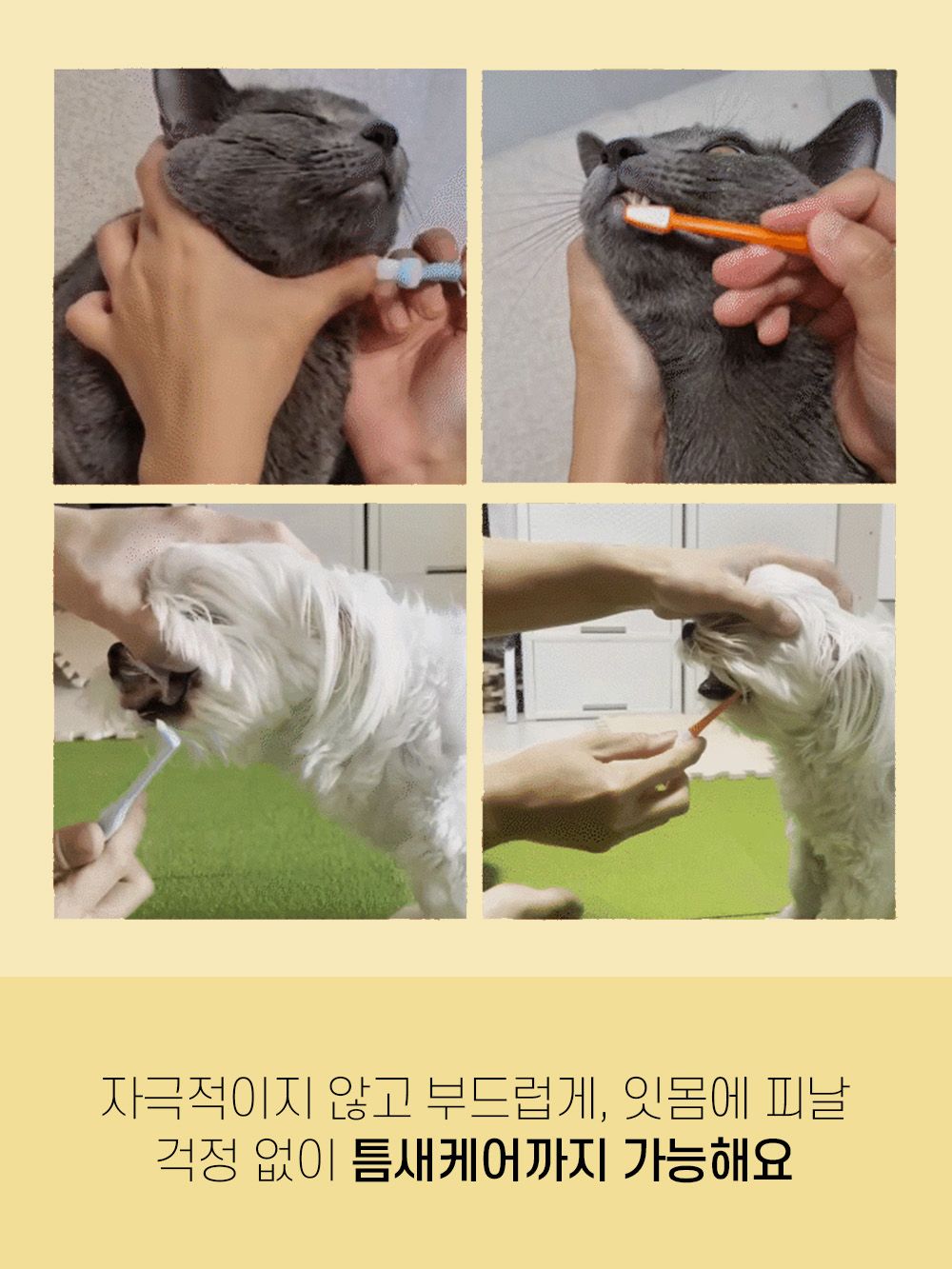 [NEW신상]리스펫 덴탈 클린 효소 치약 100g + 덴탈 딥 브러쉬 1세트 5번째