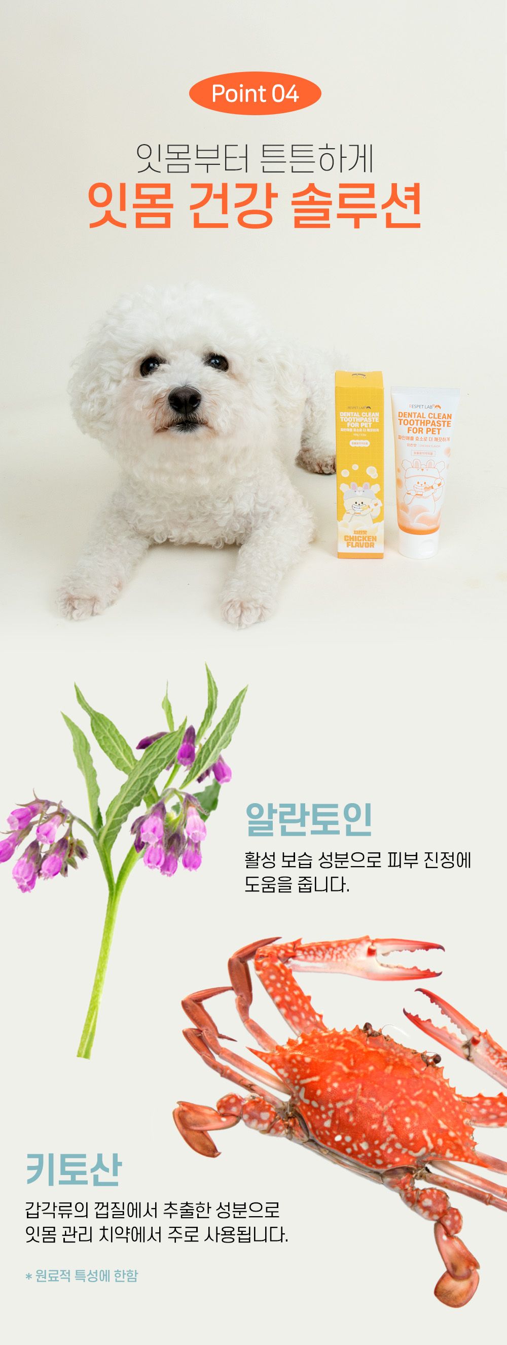 [NEW신상]리스펫 덴탈 클린 효소 치약 100g + 덴탈 딥 브러쉬 1세트 11번째