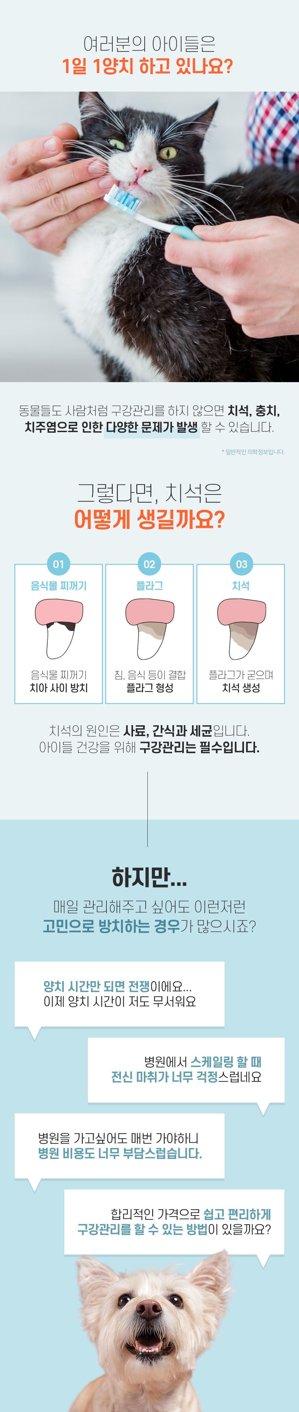 [NEW신상]리스펫 덴탈 클린 효소 치약 100g + 덴탈 딥 브러쉬 1세트 7번째