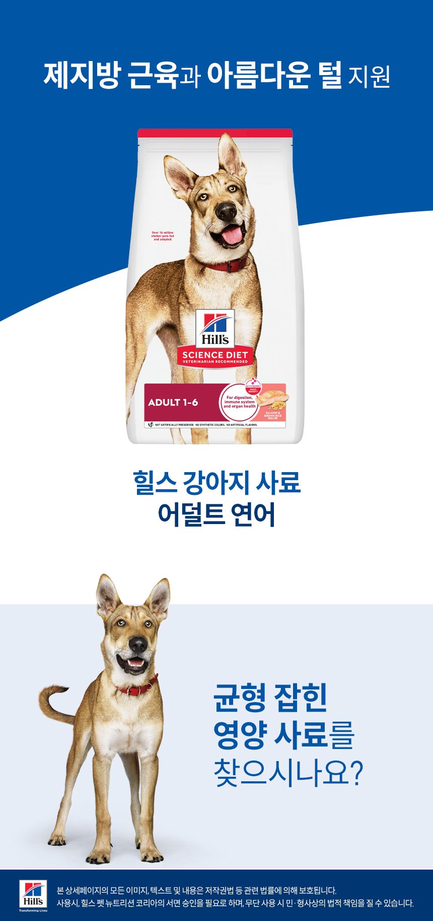 [선착순증정] 힐스 독 어덜트 연어&현미 레시피 2kg + 스몰포 스튜 치킨&야채 99g 2개 증정  1번째