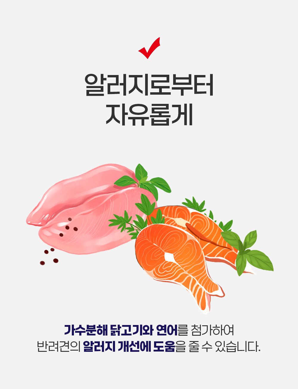 비갈로 스페셜 독 어덜트 1kg 5번째