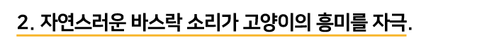 집에가야돼 타이벡 크림빵 캣닢쿠션 8번째