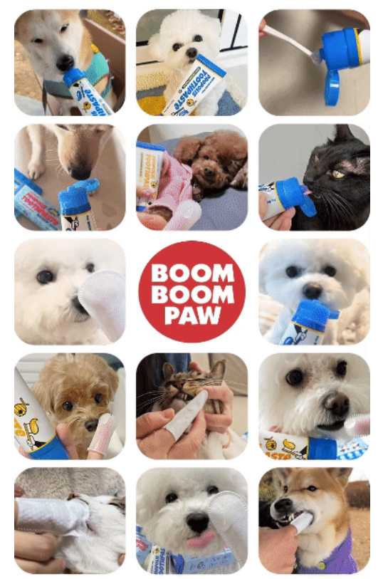 [NEW신상]붐붐포 프로폴리스 효소 치약 바나나향 70g 1번째