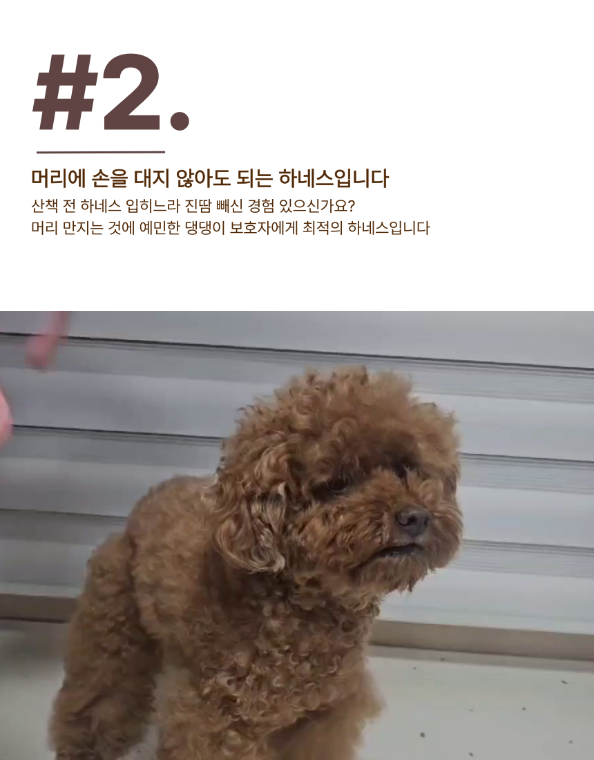 [NEW신상][무료배송] 스윗테일 핸드메이드 스트라이프 하네스 XL 14번째