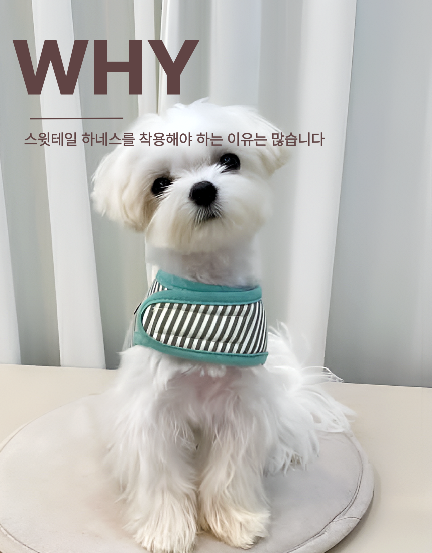 [NEW신상][무료배송] 스윗테일 핸드메이드 스트라이프 하네스 XL 12번째