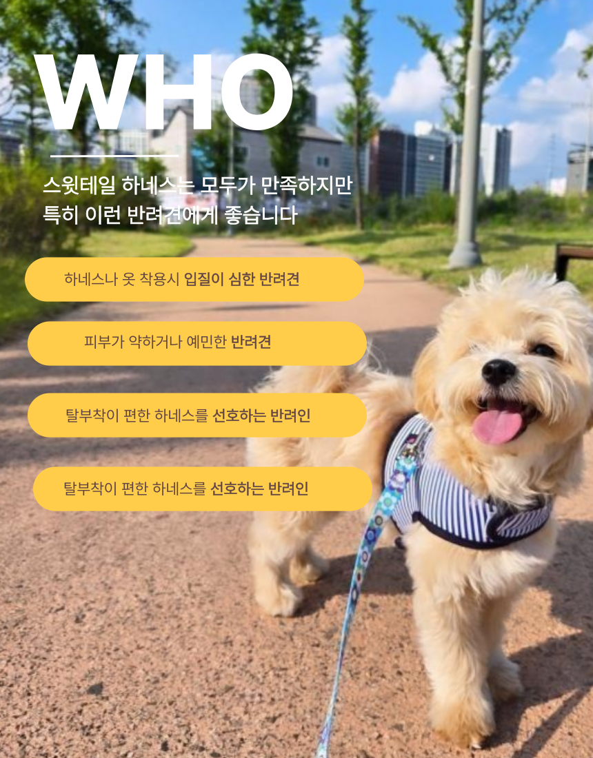 [NEW신상][무료배송] 스윗테일 핸드메이드 스트라이프 하네스 XL 22번째