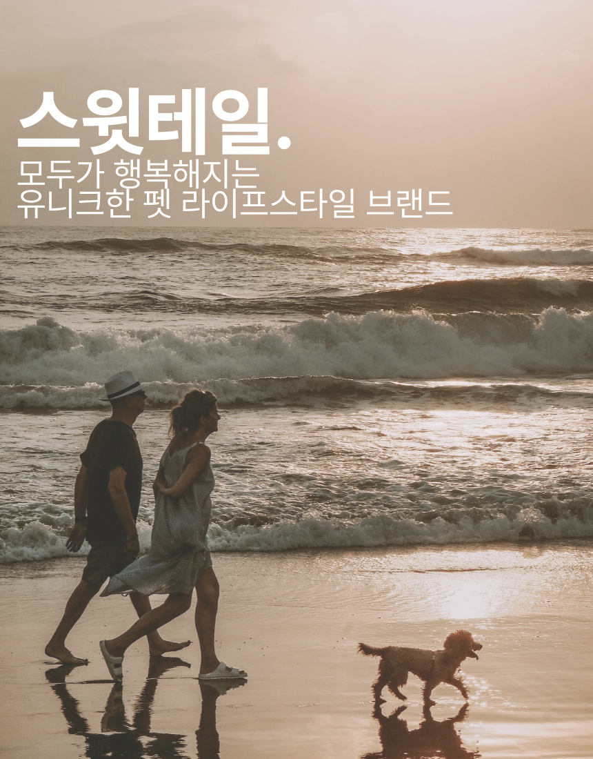 [NEW신상][무료배송] 스윗테일 핸드메이드 스트라이프 하네스 XL 1번째