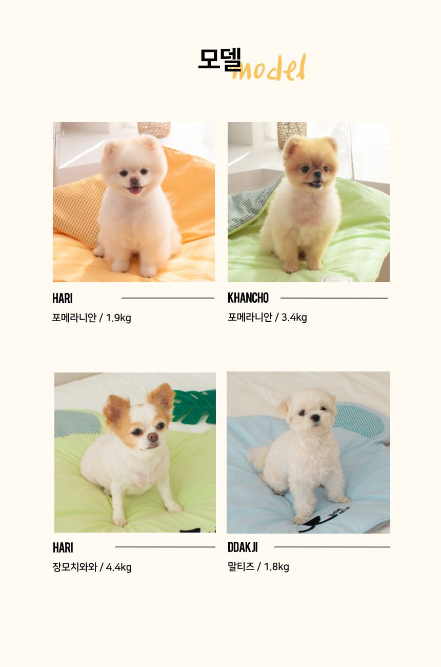 [무료배송] 베베네코 캔디베어 쿠션 퍼플/스카이/메로나/옐로우/핑크 5번째