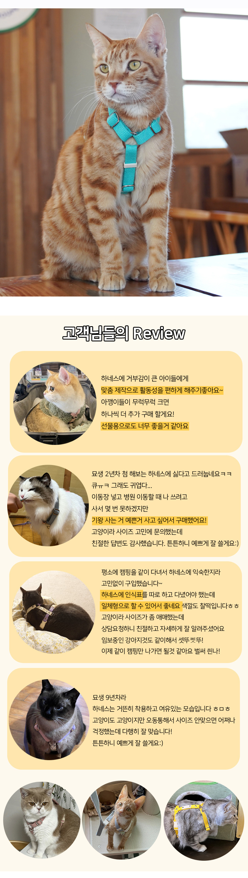 [무료배송] 유봉펫 순면 H형 고양이 하네스 16종 S-M 4번째